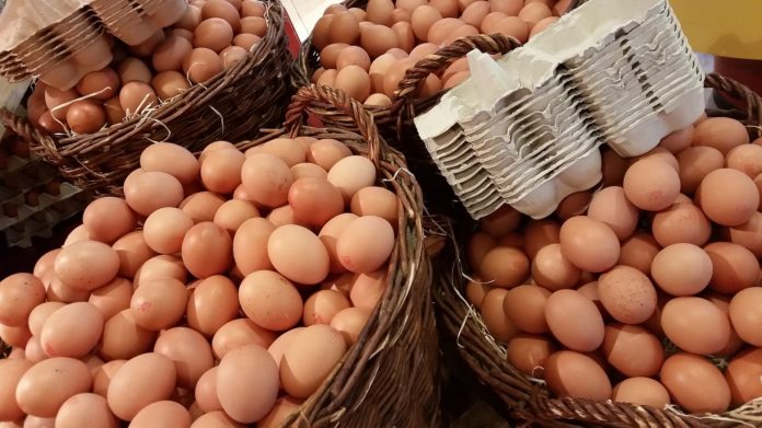Нова правила на тржишту јаја у Србији