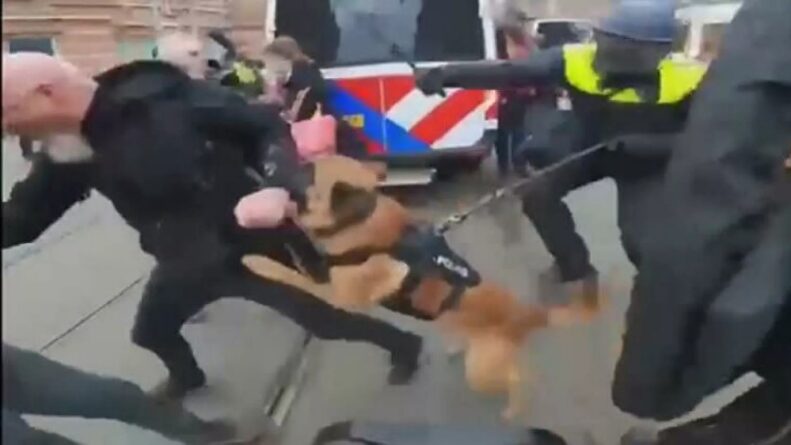 Бруталне сцене: Жестоки сукоби у Холандији, службени пас напао демонстранта, хитна наредба из дрона