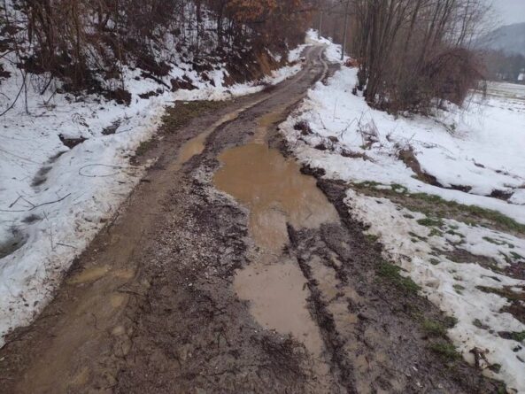 доња трешњевица пут