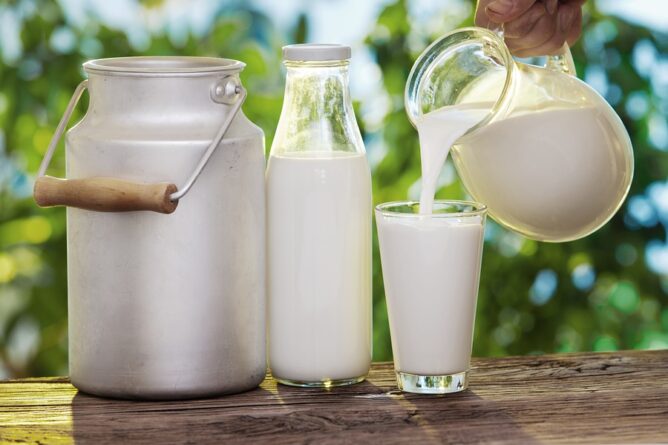 Pouring milk in the glass on the background of nature.