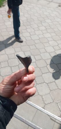 мелитопољ