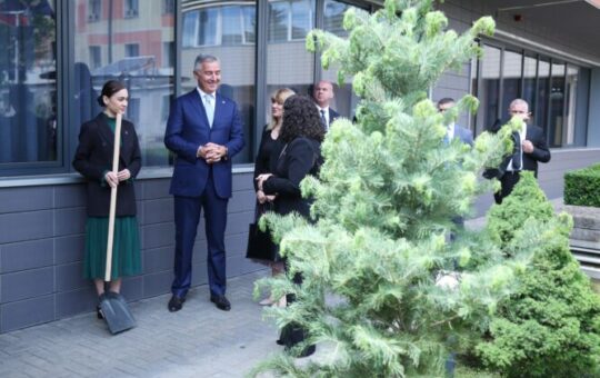 Баштовани: Мило и Вјоса саде дрвеће по Приштини (видео)