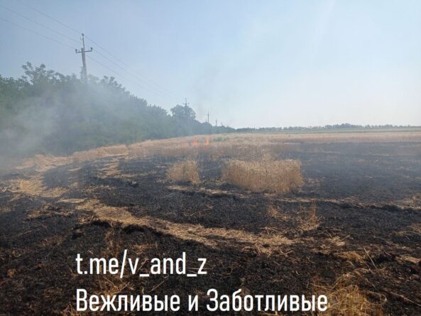 запаљене житнице