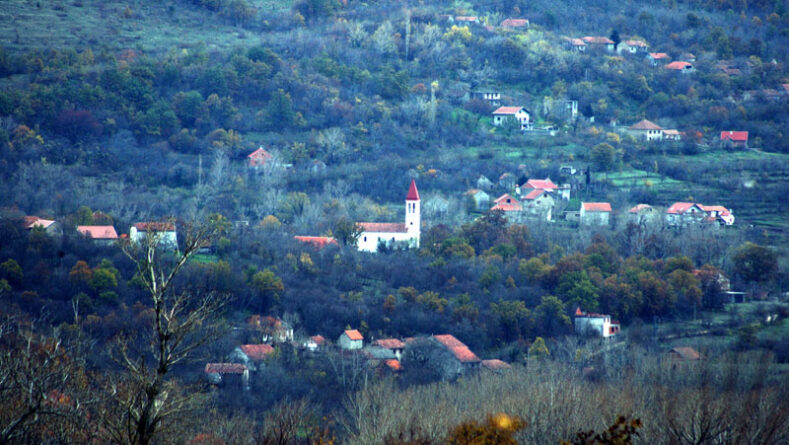 grubori_1