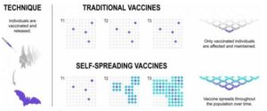 Гејтсове лабораторије развијају вакцину која се шири као вирус