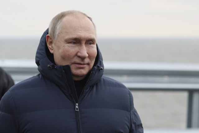 владимир путин, видојевић