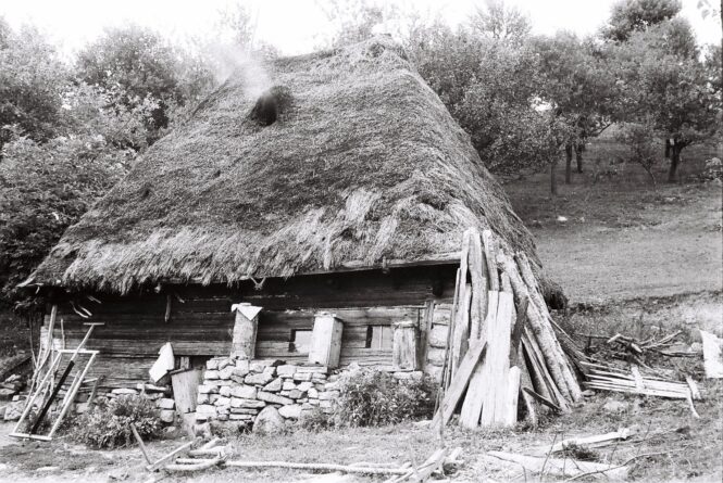 кровињара зулума