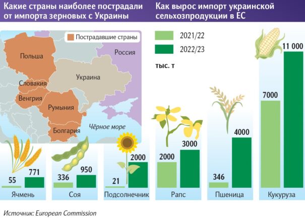 пшенице