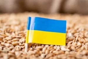 европска комисија