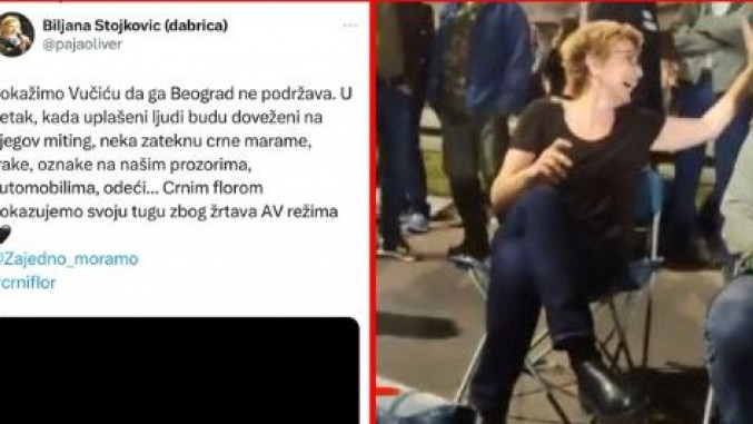 биљана стојковић принтскрин