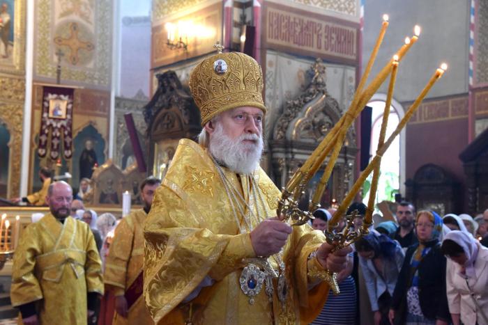 гејеви и тајне службе