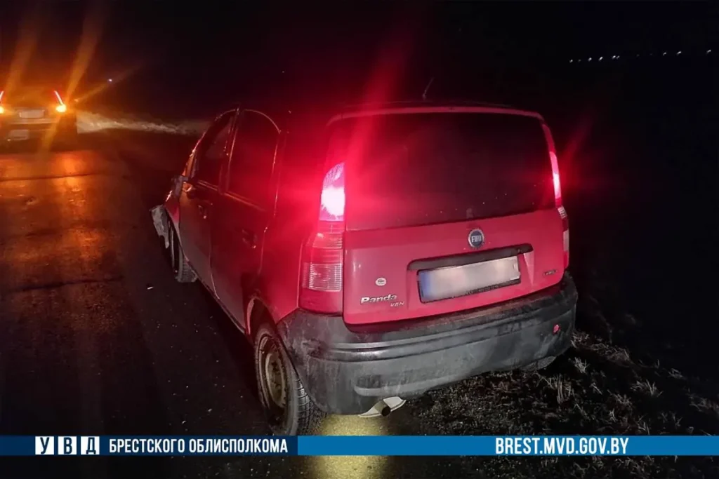 возач из србије