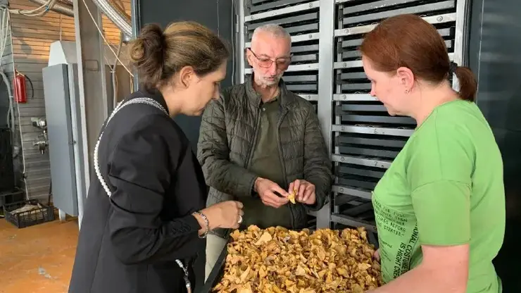 предузетници из Србине Краснојарск