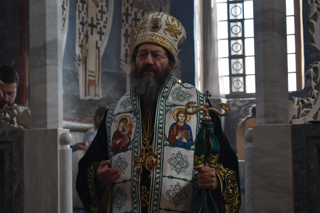 студеницу