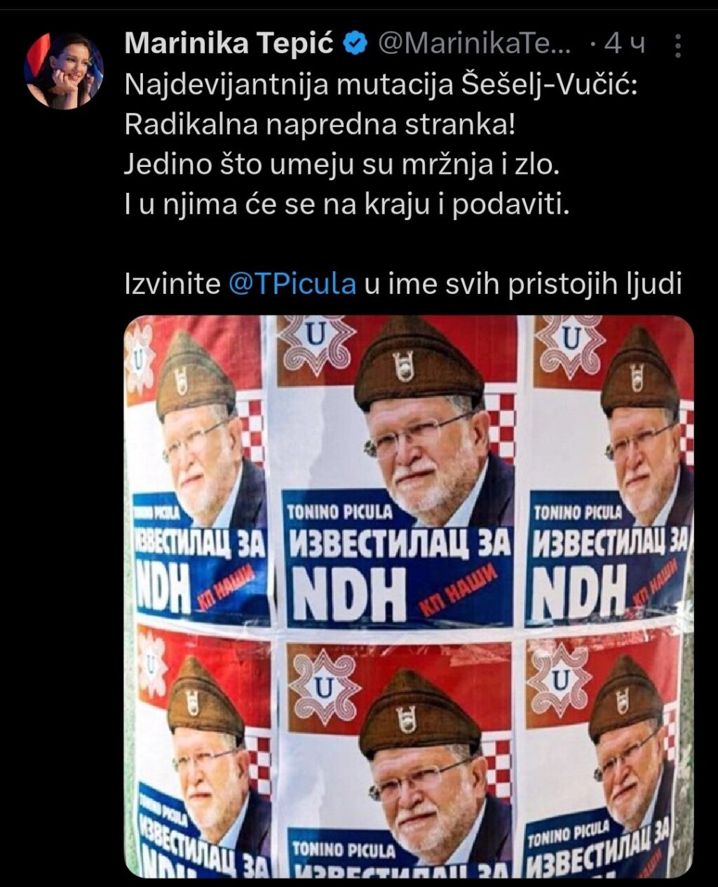 пицула