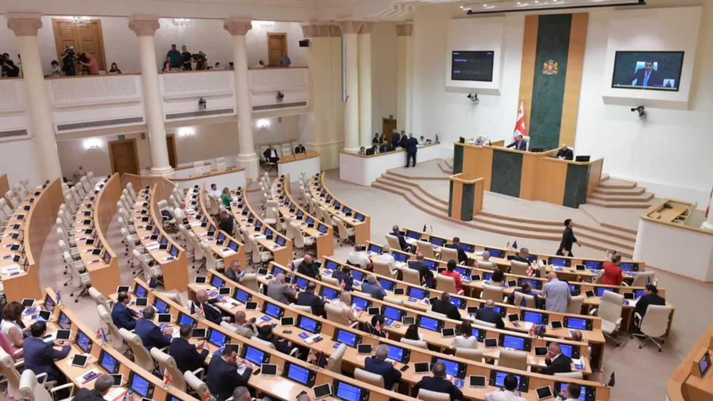 НВО Грузија парламент
