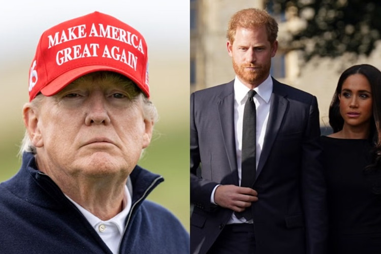 Трамп Принц Хари