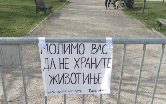 да