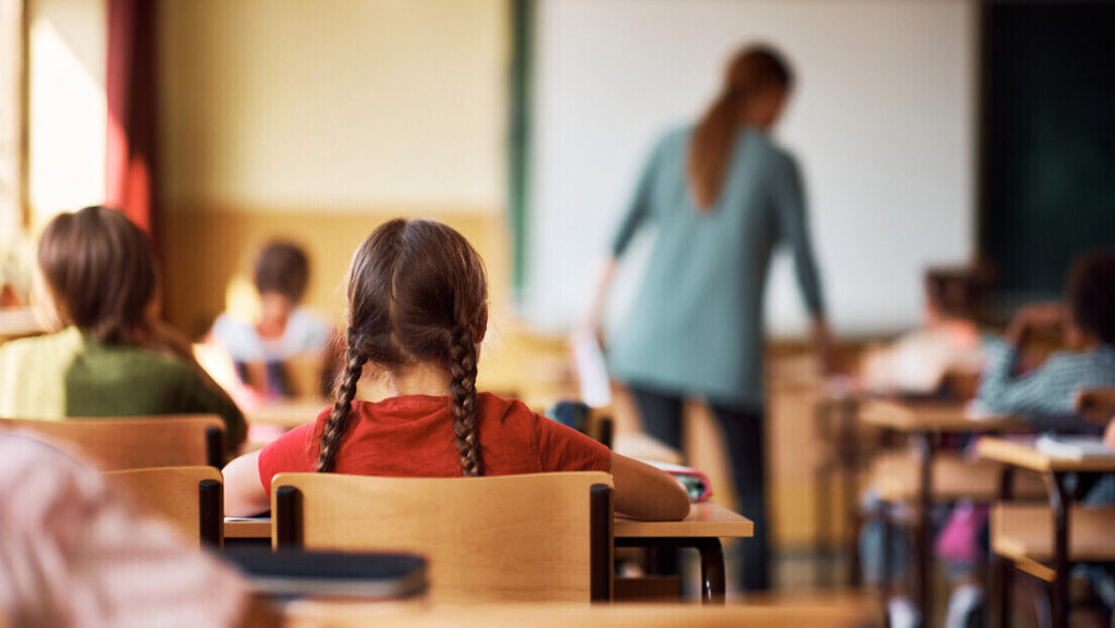 Већина