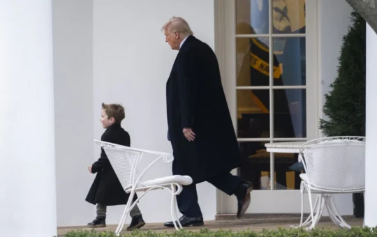 Трамп бебиситер