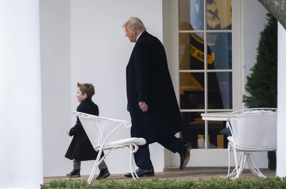 Трамп бебиситер