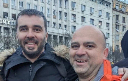 Павловића