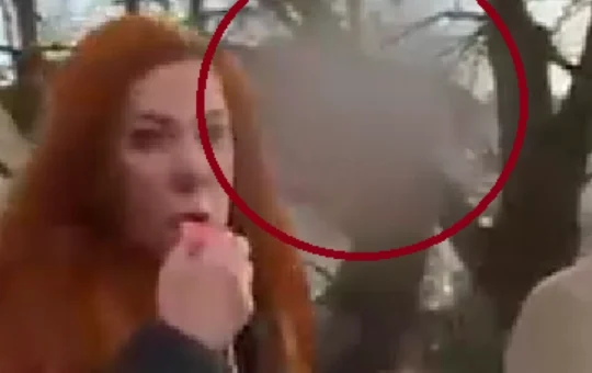 жена провоцира студенте