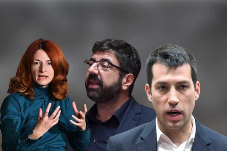 ЗЛФ опозиција