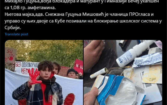 матурант