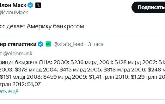 Маск САД банкрот