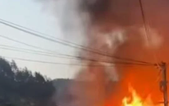 пожар у Зрењанину