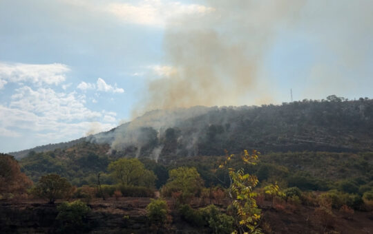 1073215_1755074500-crna-gora-smokovac-gasenje2-fotorina_iff