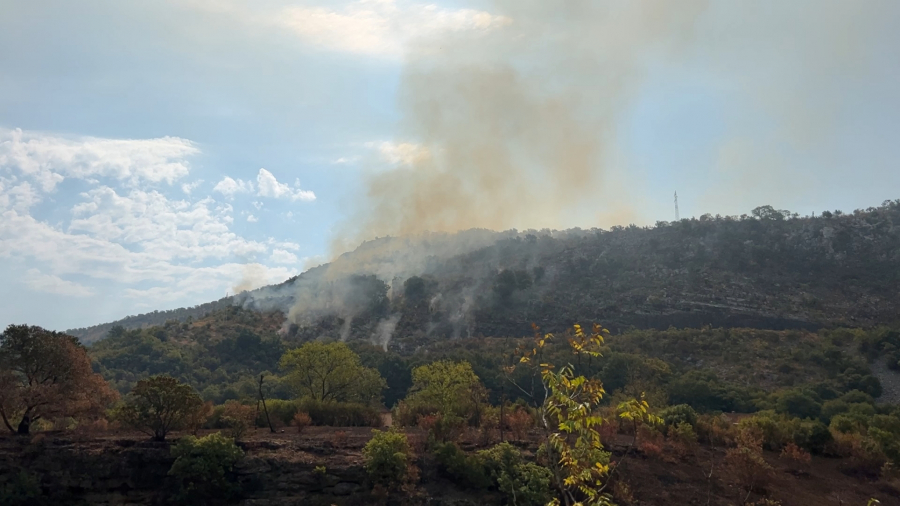 1073215_1755074500-crna-gora-smokovac-gasenje2-fotorina_iff