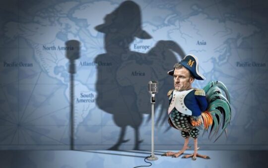 Le-coq-Macron