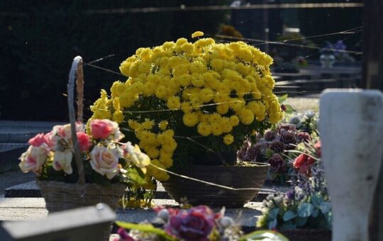 У Хрватској се хвале уклањањем српских споменика: Почели од Борова, али ту се не заустављају