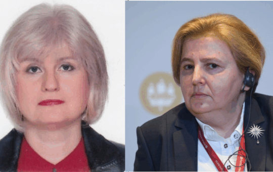 Bez naslova