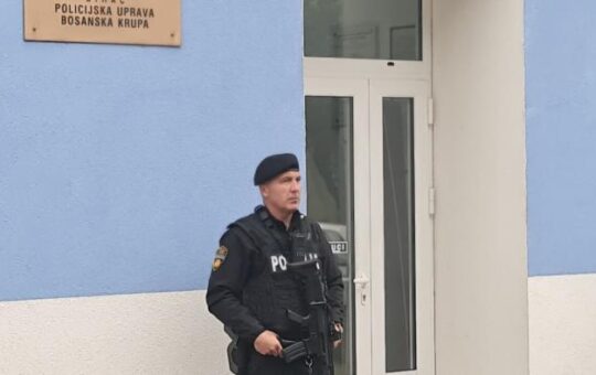 Босанска крупа