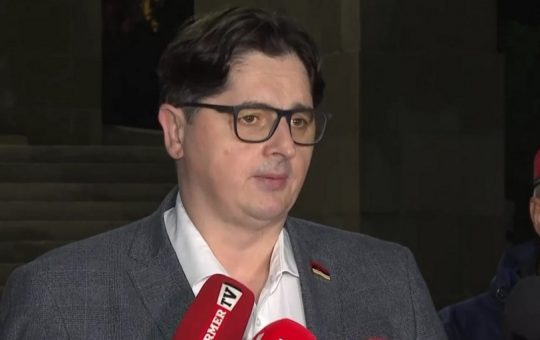 Мрдић: По македонском моделу Влада може да разреши Доловац