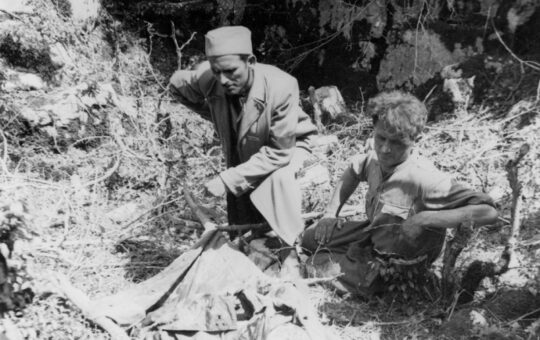 бадњи дан 1942 пасја гробља