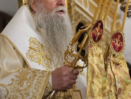 митрополит јоаникије