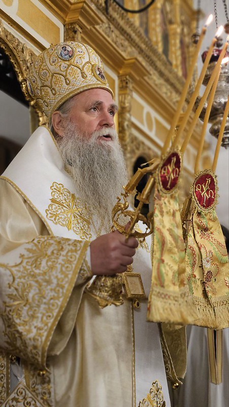 митрополит јоаникије
