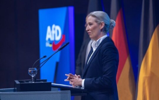 Алис Вајдел АФД