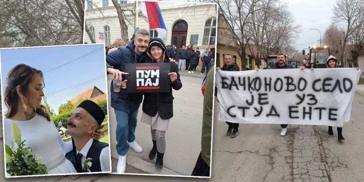 Маја Шупица
