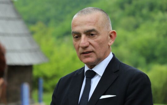 Вујић