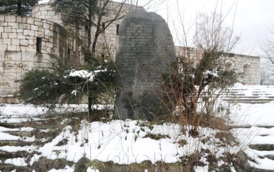 Споменик Враца