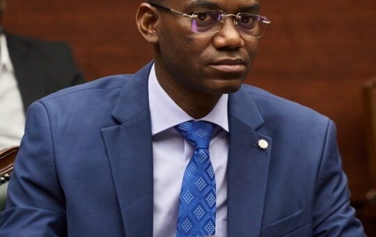 Ministro_de_Defensa_de_Malí,_Sadio_Camara_(cropped)