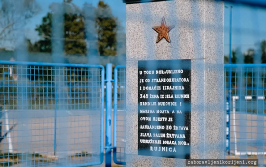 рујница