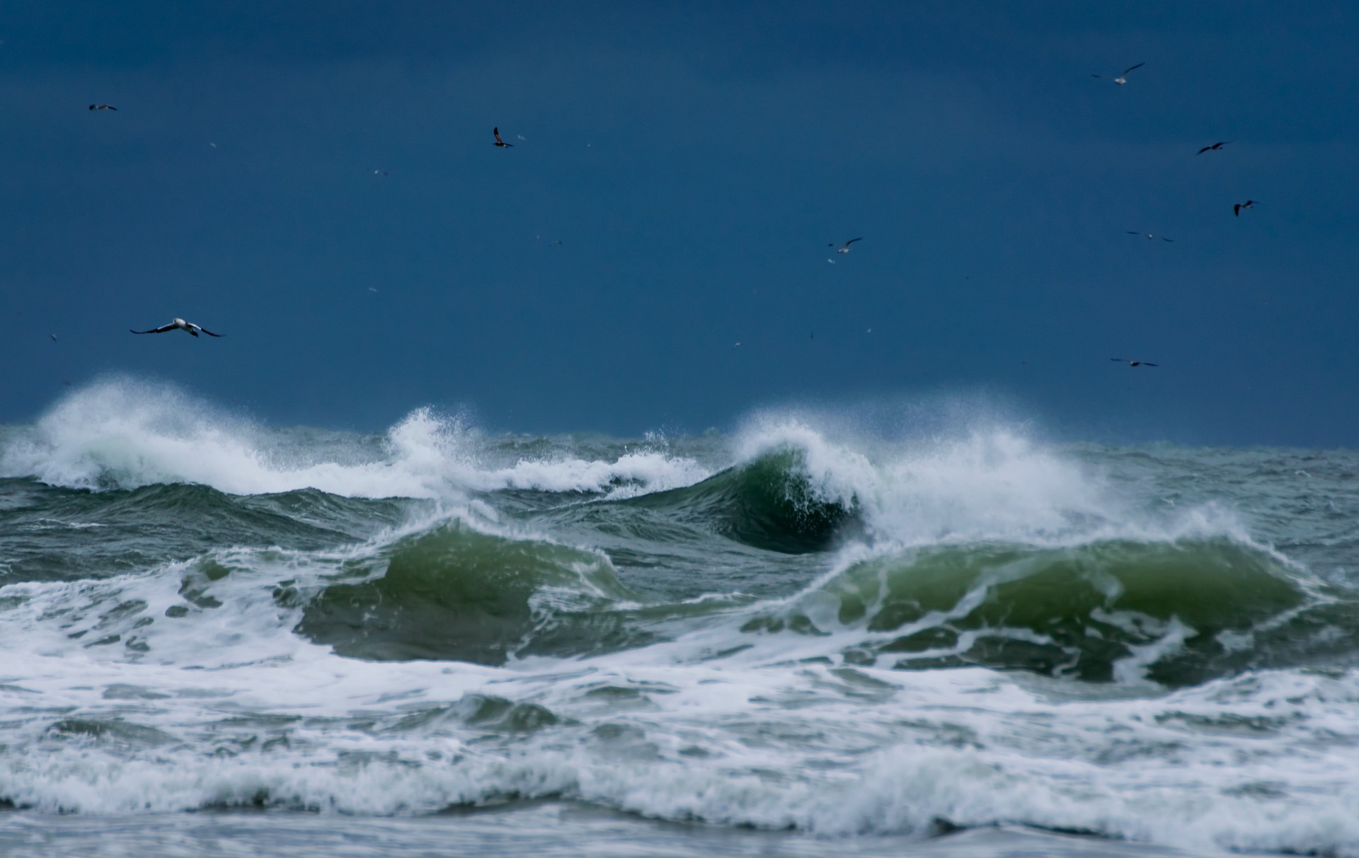 1920_65645d6cb09c605f5e64c220