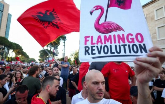 фламинго револуција