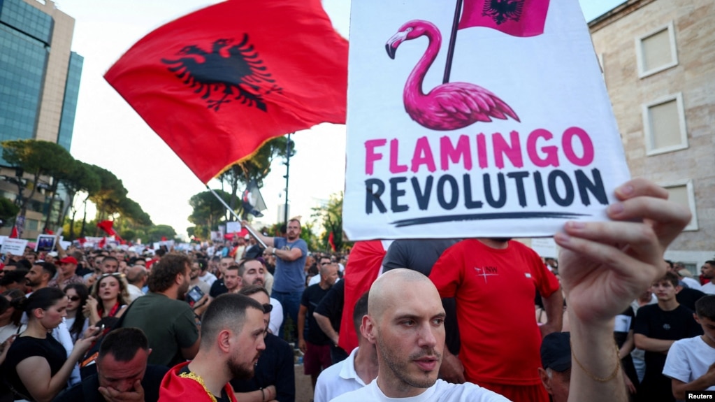 фламинго револуција